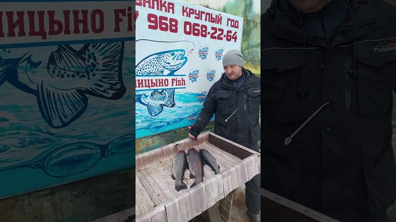 Именинник открыл для себя Голицыно Fish