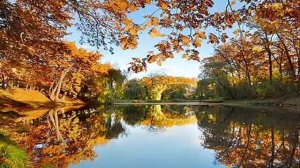 Осенние мотивы.wmv