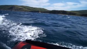 Баджер/Badger ARL 390+Suzuki DF15S.avi