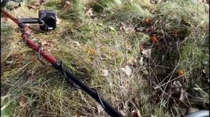 Небольшой обзор MINELAB X TERRA 505
