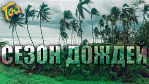 35. Влог Индия. Жизнь в Гоа в Сезон дождей. Сломалась камера. Готовим креветки.