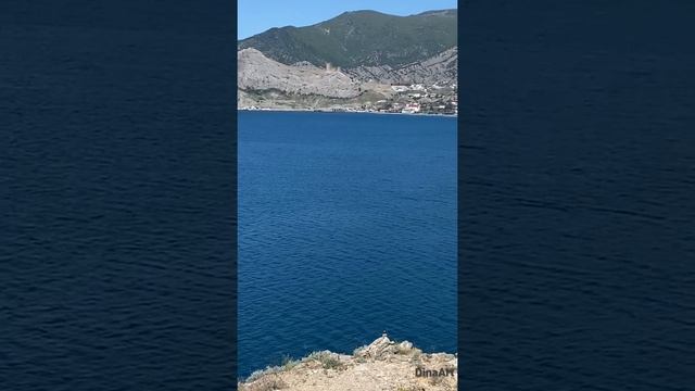 Разговорчивая птичка. Крым. Судак #shorts #крым2022 #крым #птицы #птица #природа #bird #nature