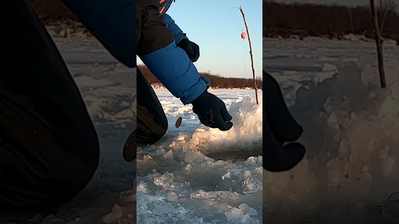 Чебак #рыбалка #яспиннингист #первыйлед смотреть онлайн