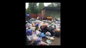 там 33 богатыря в помойке ищут 3 рубля.