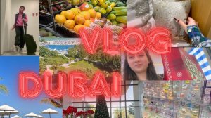 влог с дубая || оаэ