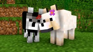 Wolf Life: The Family -- Minecraft Animation