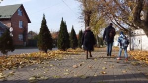 Таруса и её окрестности