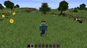 Как получить любую голову в Майнкрафт