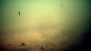 Рыбалка в д. Решетниково Омской области на старице Иртыша.