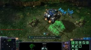 SC2 rendering bug?