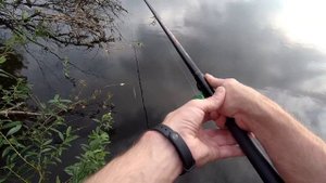 Рыбалка на реке Келноть. Хотели половить карася, а половили окунька.
