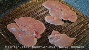 Болезни легких у кроликов или почему кролик тяжело дышит