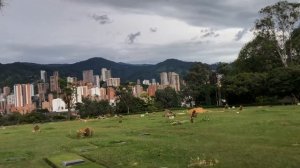 Купили билеты и Кладбище где похоронен Пабло Эскобар | Медельин | Колумбия