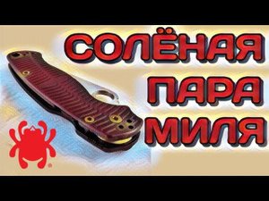 Лучший Spyderco Para Military в истории и обновление хита CJRB Pyrite