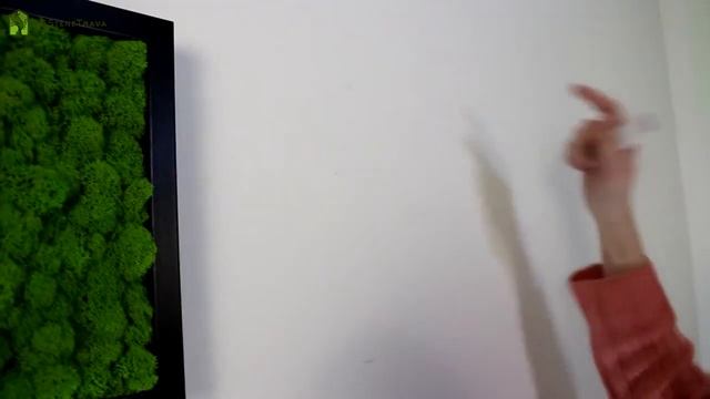 Как повесить фитокартину и не сверлить стену.