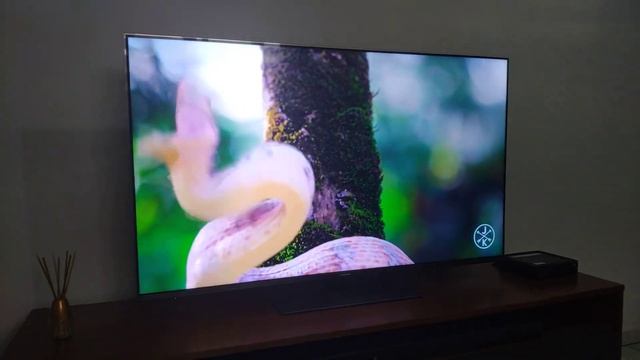 TV Panasonic-TC-55FX800B смотреть онлайн