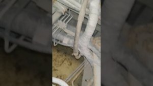 Плохо заводится Nissan cabstar. Не работают свечи, нет питания на реле свечей накала.
