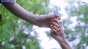 I Dream Your Love ( Expression 4 )