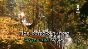 Детские   Песня Рыбы Пилы