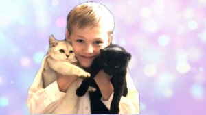 КОЛЯ получил ДВОЙКУ и порвал ШТАНЫ. А КОТЯТА приготовили УЖИН