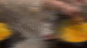 Омлет с крабом !!!!