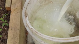 СРОЧНО ДАЙТЕ ОГУРЦАМ КЕФИР ПОТОМ БУДЕТЕ ДУМАТЬ КУДА ИХ ДЕВАТЬ!!! Результаты конкурса!