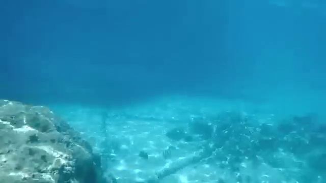 Тестовое видео с камеры Olympus Mju TOUGH 6020 смотреть онлайн