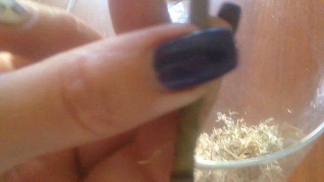 ЭКСПЕРИМЕНТЫ с выращиванием деток из обрезаных цветоносов смотреть онлайн