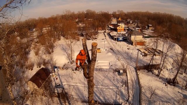 Спилить дерево по частям №4 УДАЛЕНИЕ ТОПОЛЯ #Арбористика [SamArbo]