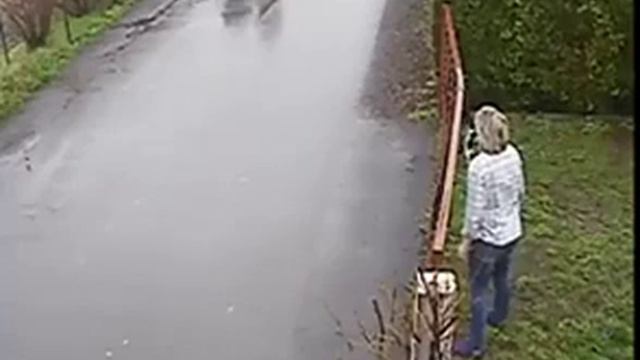 Кот заступился за пса смотреть онлайн