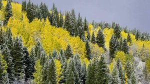 Дерек Принс - Последнее Слово Бога,часть 1