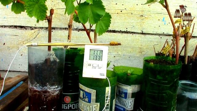 ? Дополнительное утепление теплицы спанбондом. Двухслойное покрытие смотреть онлайн