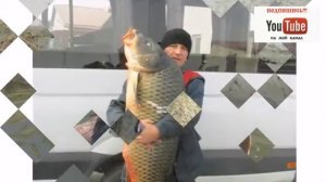 Рыбалка в Татарстане. Отличный улов на рыбалке в Татарстане.