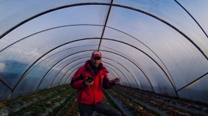 Метеостанция  "Davis Vantage Pro2 + Weatherlink Live"