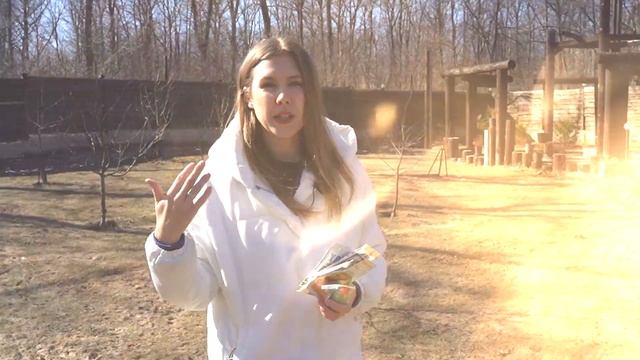 ВЕСЕННЯЯ ОБРАБОТКА САДА ОТ БОЛЕЗНЕЙ И ВРЕДИТЕЛЕЙ смотреть онлайн