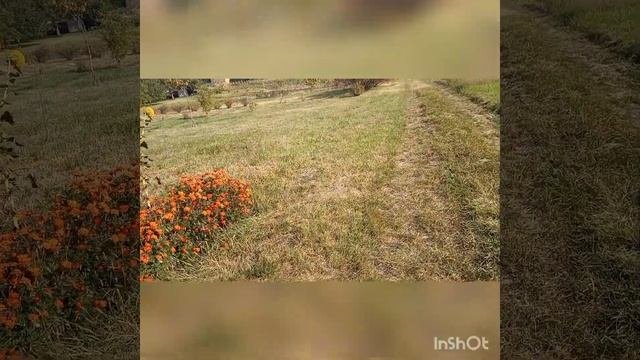 Емоційні роздуми на прогулянці за селом.