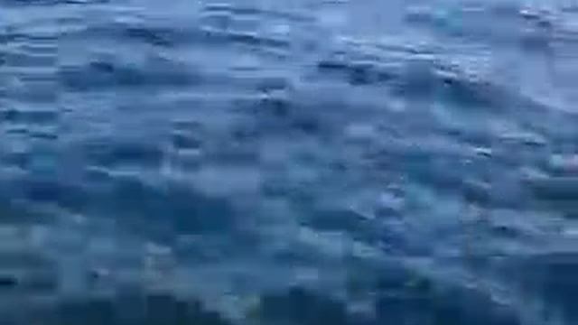 Смотреть Northsilver 745 Pro Катер Для Отдыха И Рыбалки - Катера Для Морской Рыбалки смотреть онлайн