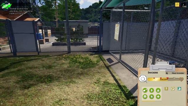 ANIMAL SHELTER Cheats: Add Money, No Hunger, Max Fun, Unlimited Health, ... | Trainer by PLITCH смотреть онлайн