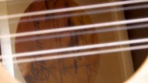 Norman Protege B18 12 test