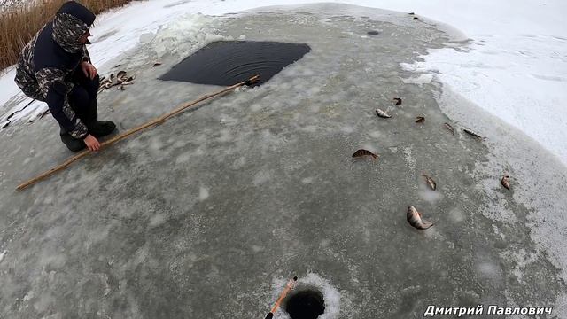 РЫБАЛКА НА ПАУК-ПОДЪЁМНИК."ЧТО НЕ ПОДЪЁМ-ТО РЫБА"!!! РАЗДАЧА ОКУНЯ НАЧАЛАСЬ!!!