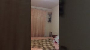 Пси террор, Ганг сталкинг, дома ждал сюрприз.