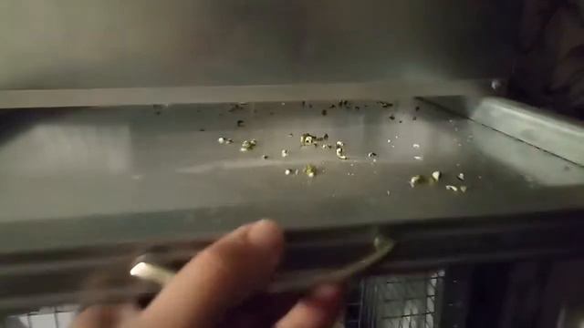 Вольер самодельный, для мелких животных смотреть онлайн