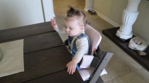 STOKKE TRIPP TRAPP REVIEW!