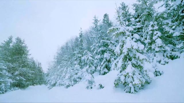 Волшебная музыка зимы! Одна из самых красивых зимних мелодий! ЛЮБЛЮ ЗИМУ