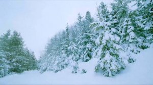 Волшебная музыка зимы! Одна из самых красивых зимних мелодий! ЛЮБЛЮ ЗИМУ