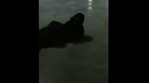 Рыбалка Арбалетом. Класс!!! [Арбалет Для Ловли Рыбы]