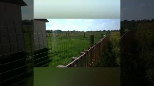 забор из поддонов ч3 сетка  из пвх калитка и ворота