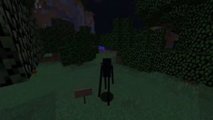 КАК ИГРАТЬ ЗА ЭНДЕРМЕНА В РЕАЛЬНОЙ ЖИЗНИ В МАЙНКРАФТЕ МАЙНКРАФТ ПРЕВРАЩЕНИЯ В MINECRAFT МУЛЬТИК