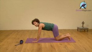 Chaturanga Workshop, Yoga with David Lurey