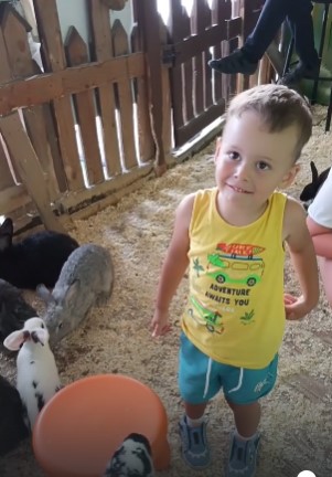 Гладим кроликов! смотреть онлайн